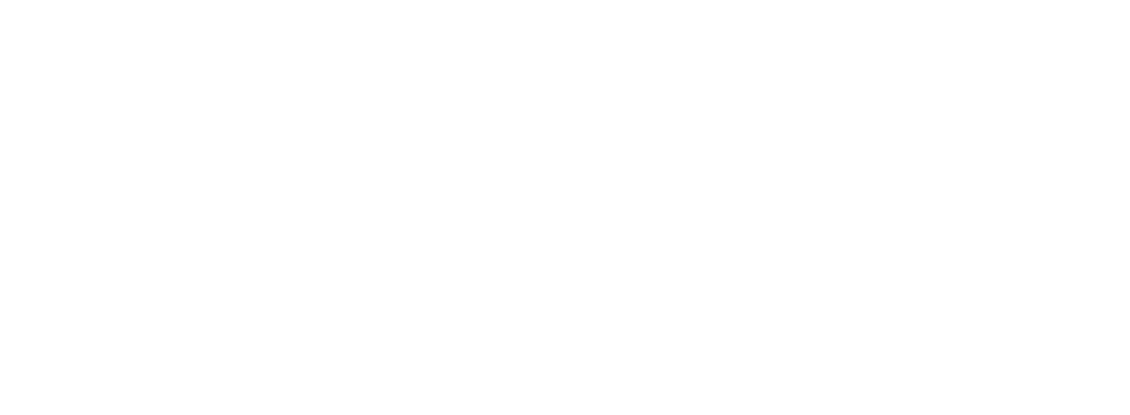 Alliances Consulting Services